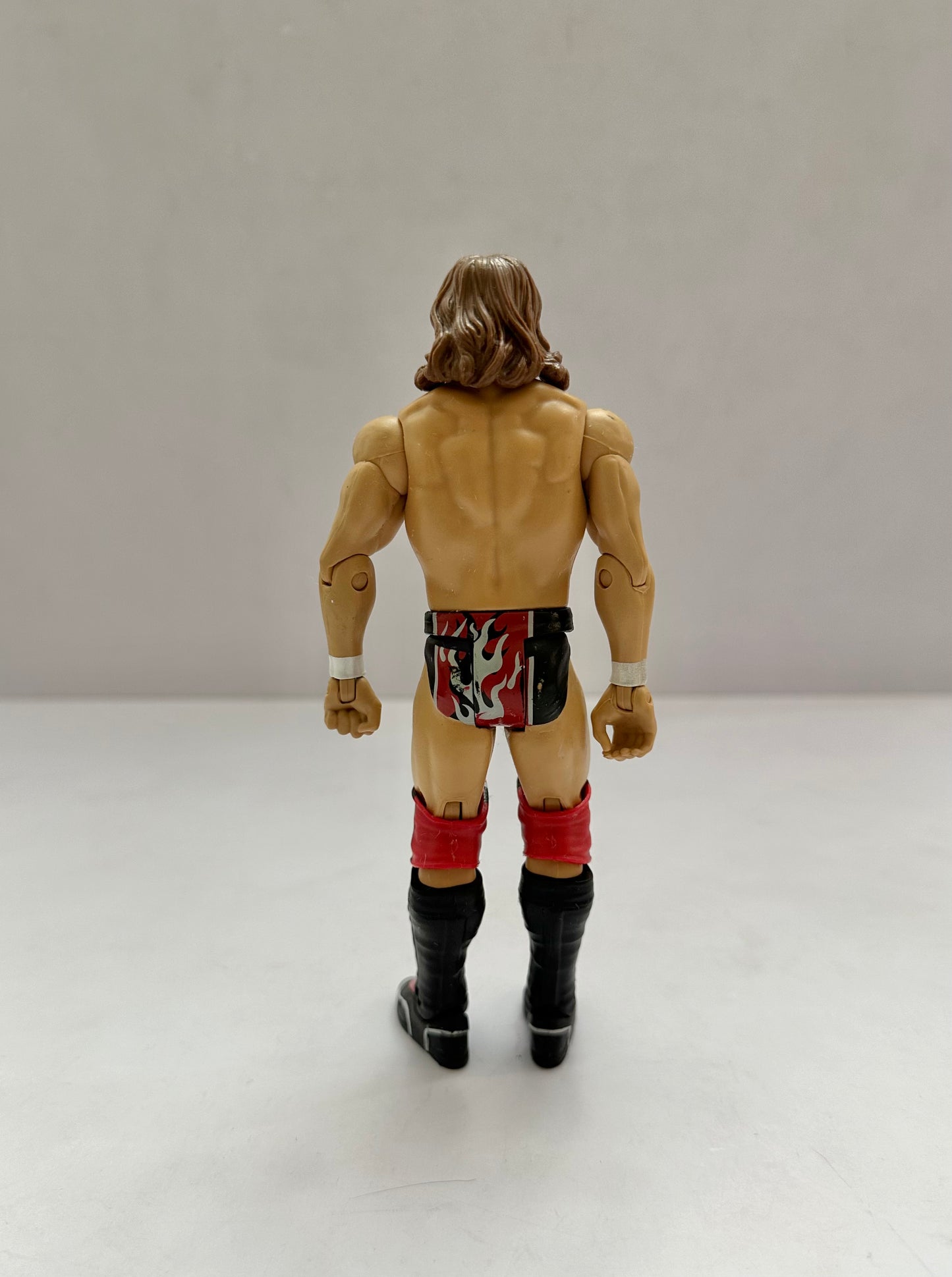 WWE Daniel Bryan