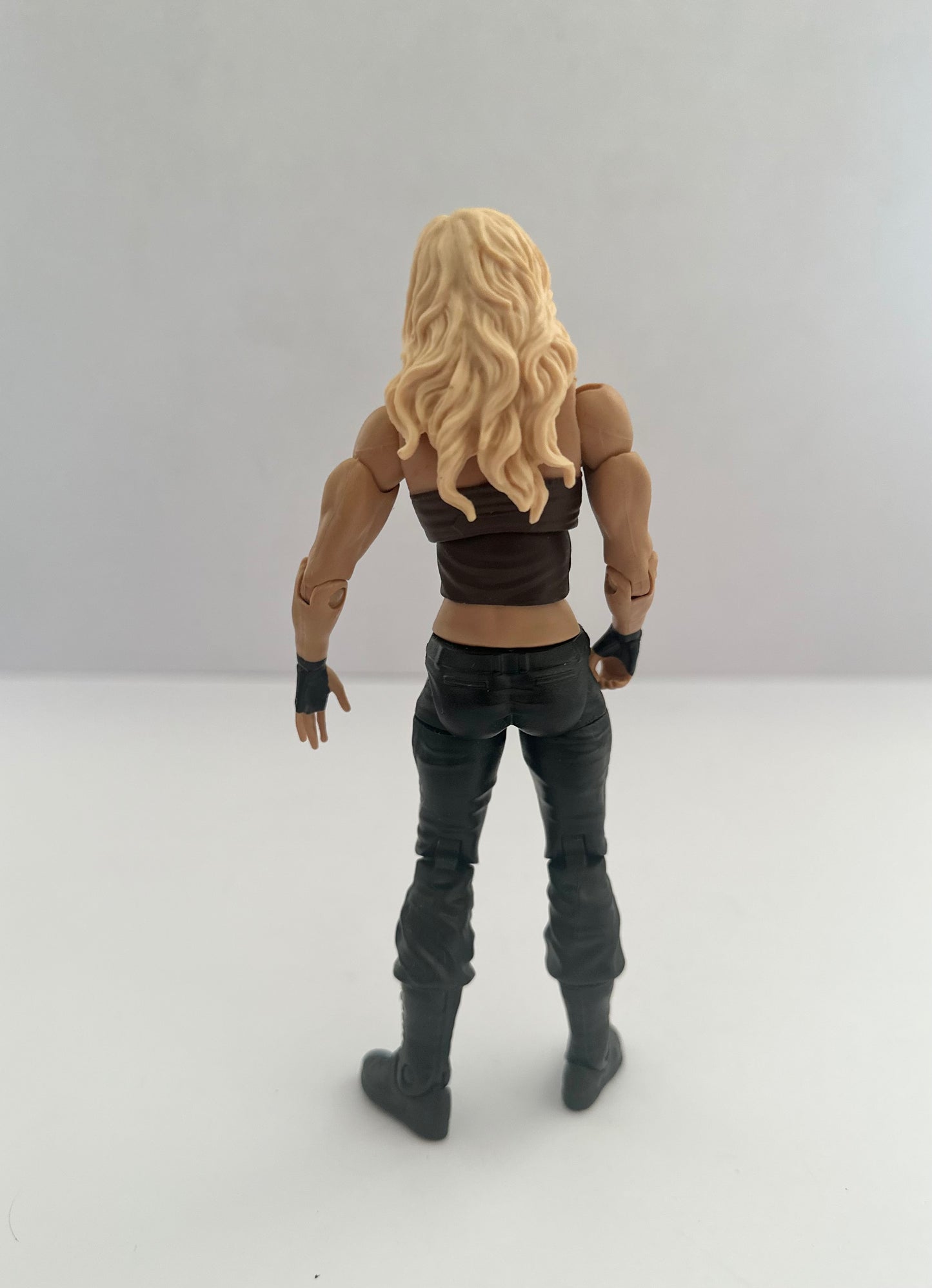 WWE Kaitlyn Series 36 2013
